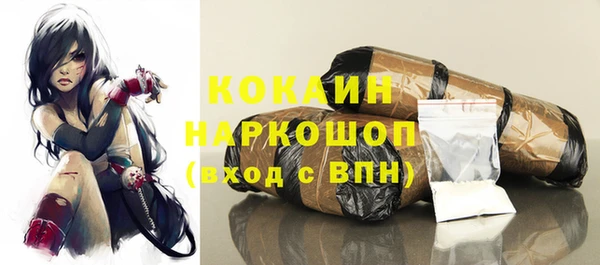 apvp Иннополис