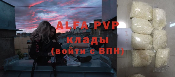 apvp Иннополис
