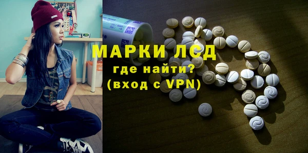 PSILOCYBIN Каменногорск