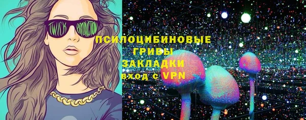 apvp Иннополис