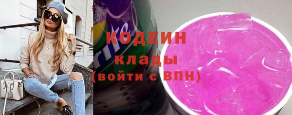 apvp Иннополис